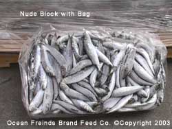 25 & 40 Pound Carton - Pacific Sardine (Sardniops sagax)